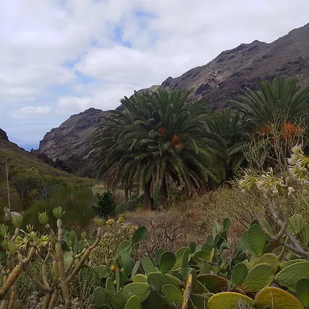 La Estrella Del Sur * Costa Adeje (Tenerife)