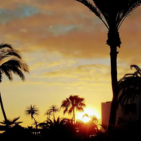 Apartment La Estrella Del Sur Costa Adeje (Tenerife)